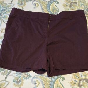 LOFT Women's Plum Cotton Blend Shorts